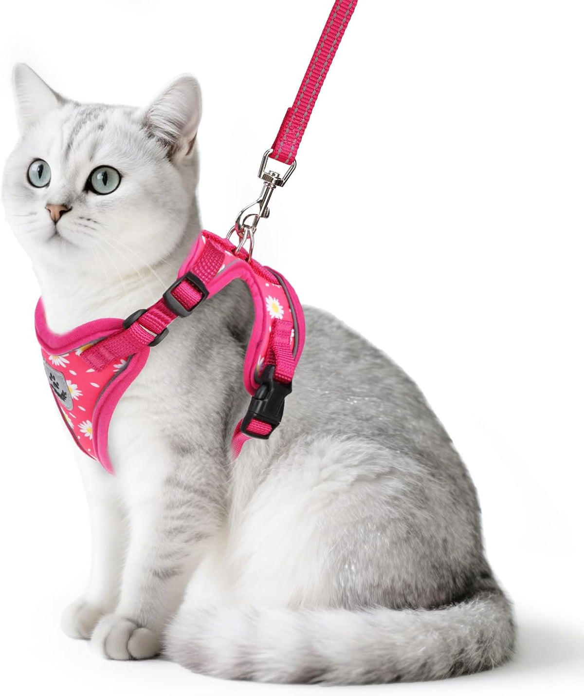 PUPTECK authentic imported pet supplies secure kitten vest back view
