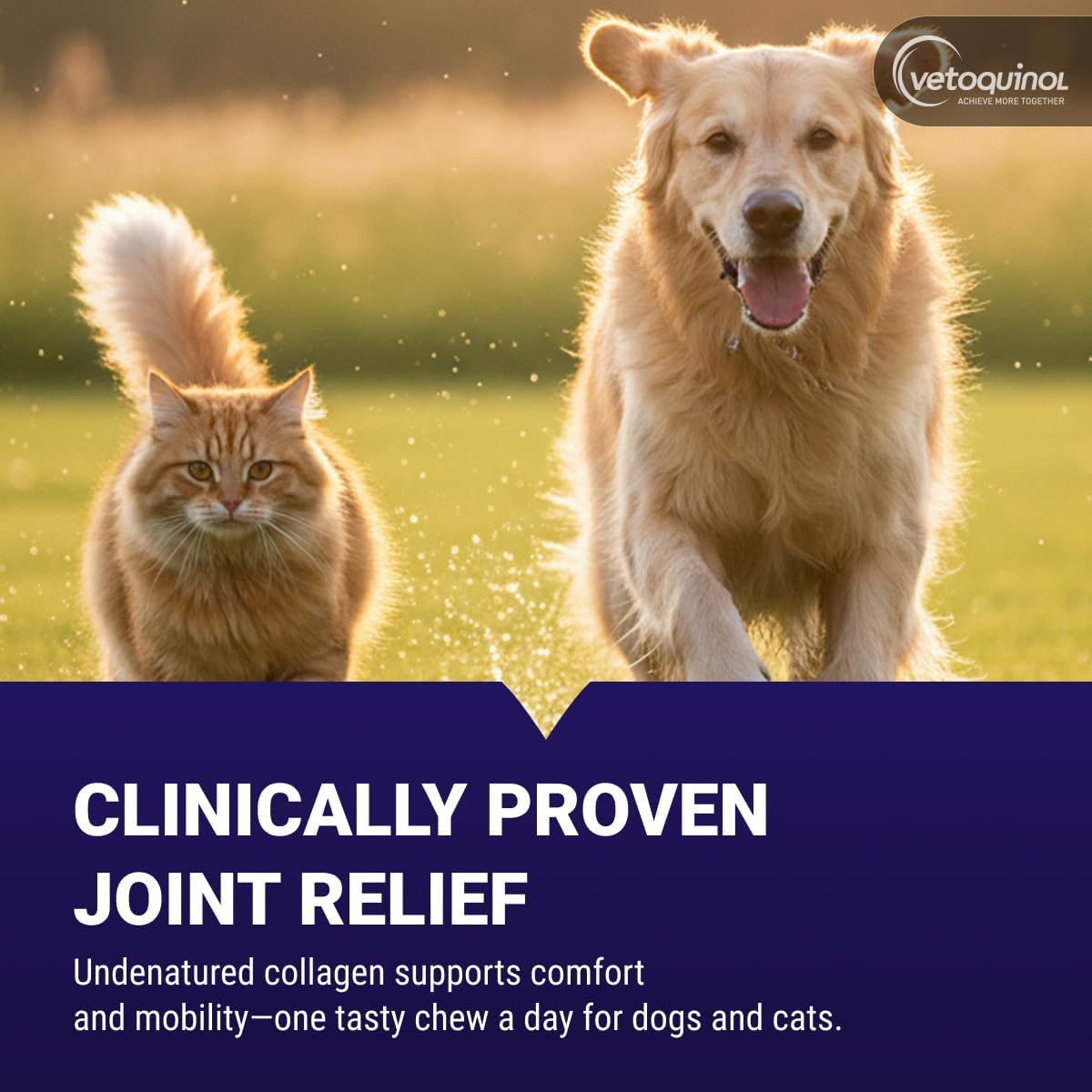 Vetoquinol joint support soft chews for dogs and cats nutritional label