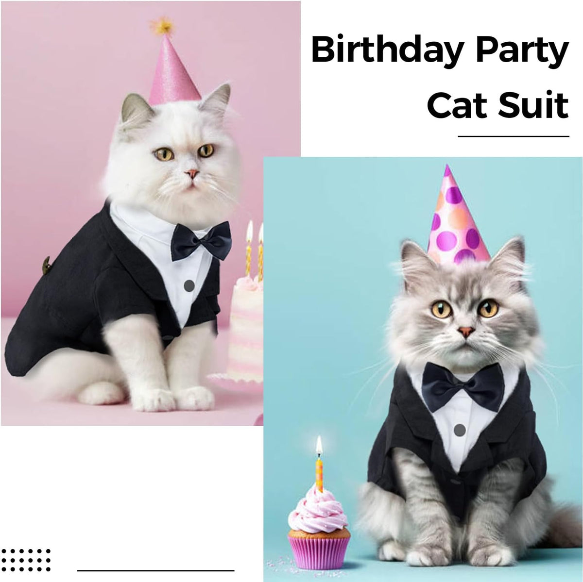 Side profile of Sphynx cat wearing black formal tuxedo