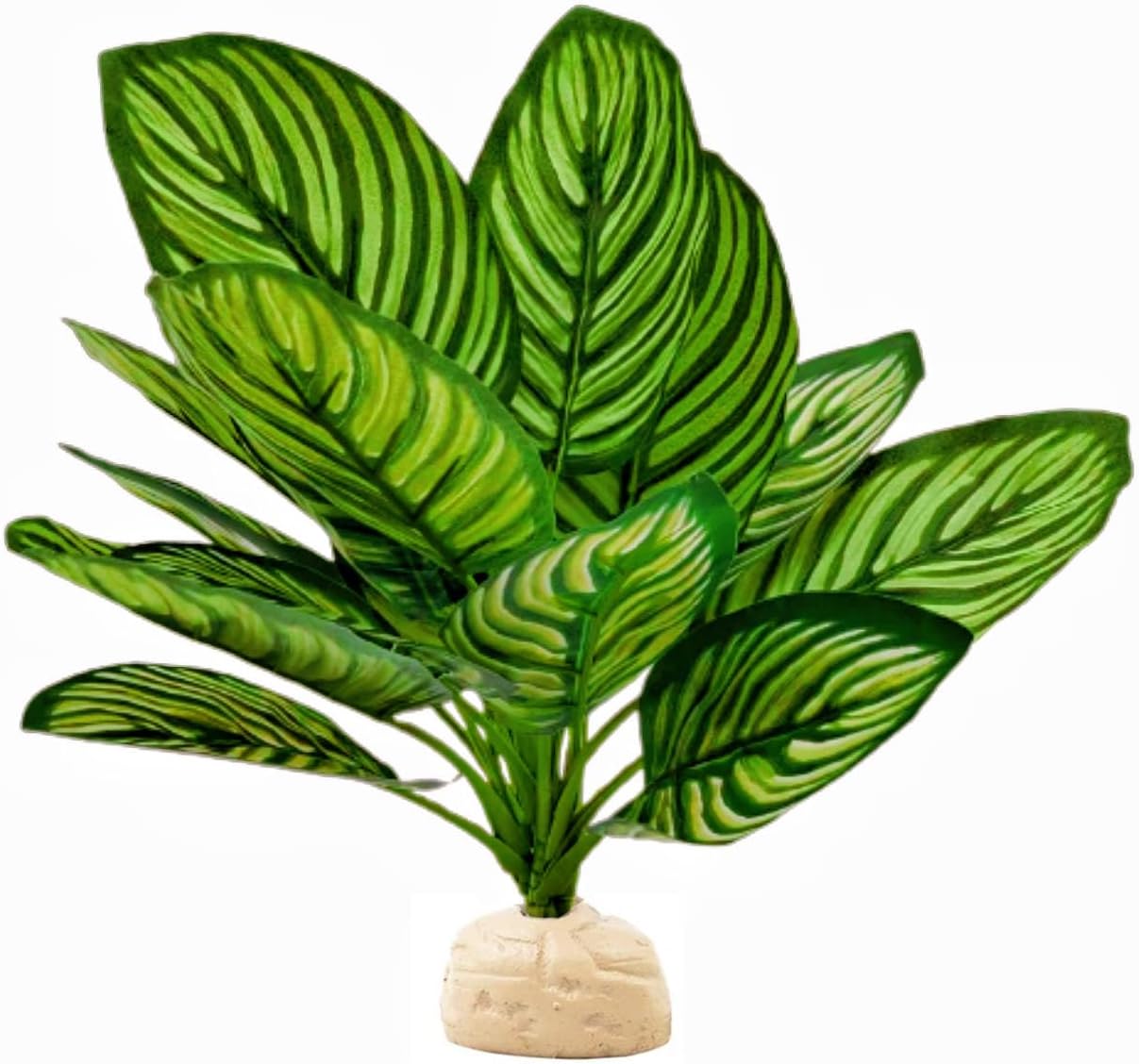 FLmoving reptile terrarium plant in vibrant green and red
