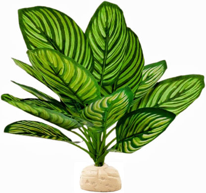 FLmoving reptile terrarium plant in vibrant green and red