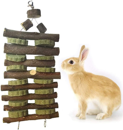 Kathson premium imported small animal chewing toys detailed product layout