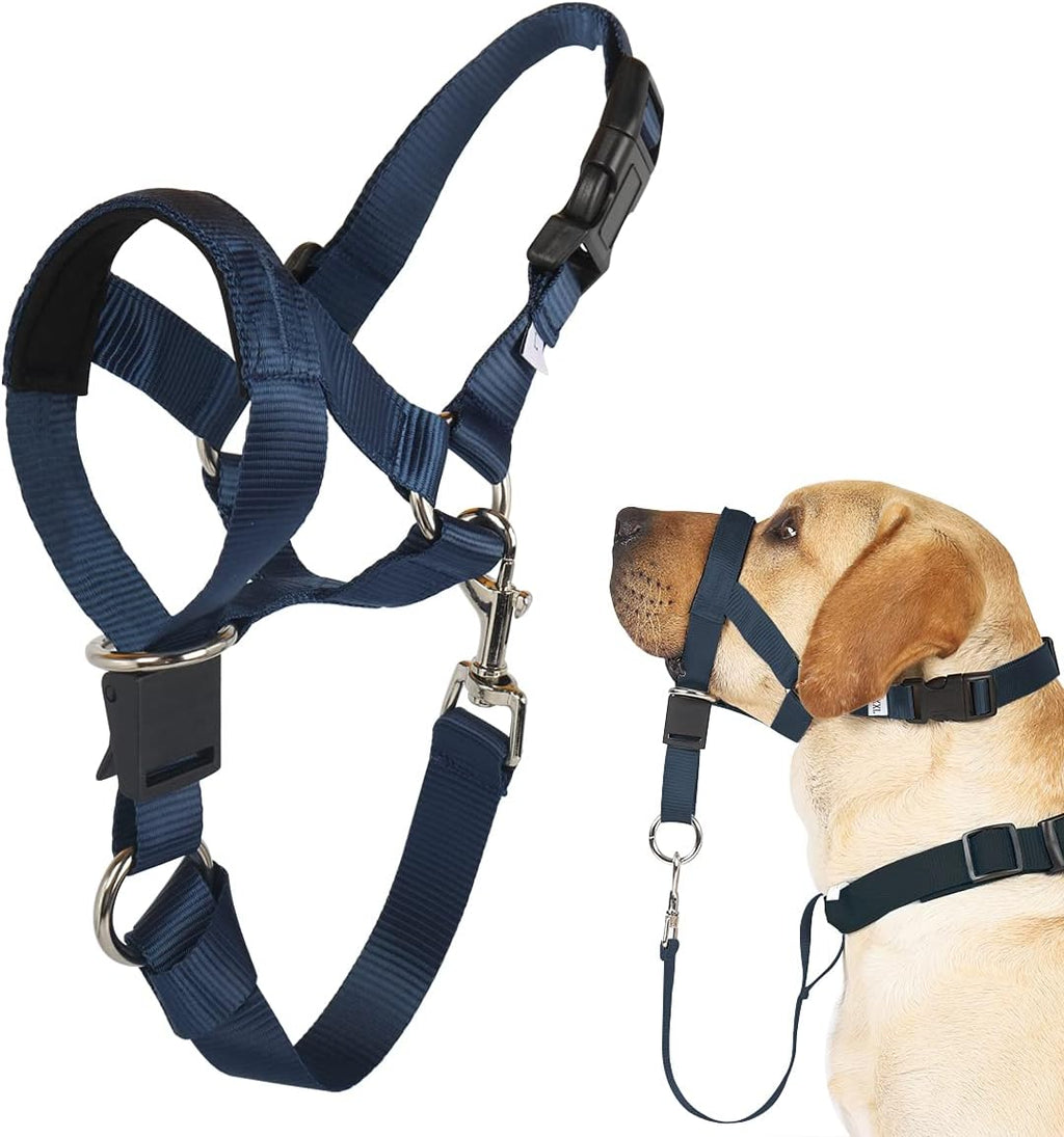 Barkless no-pull dog head collar navy blue front view