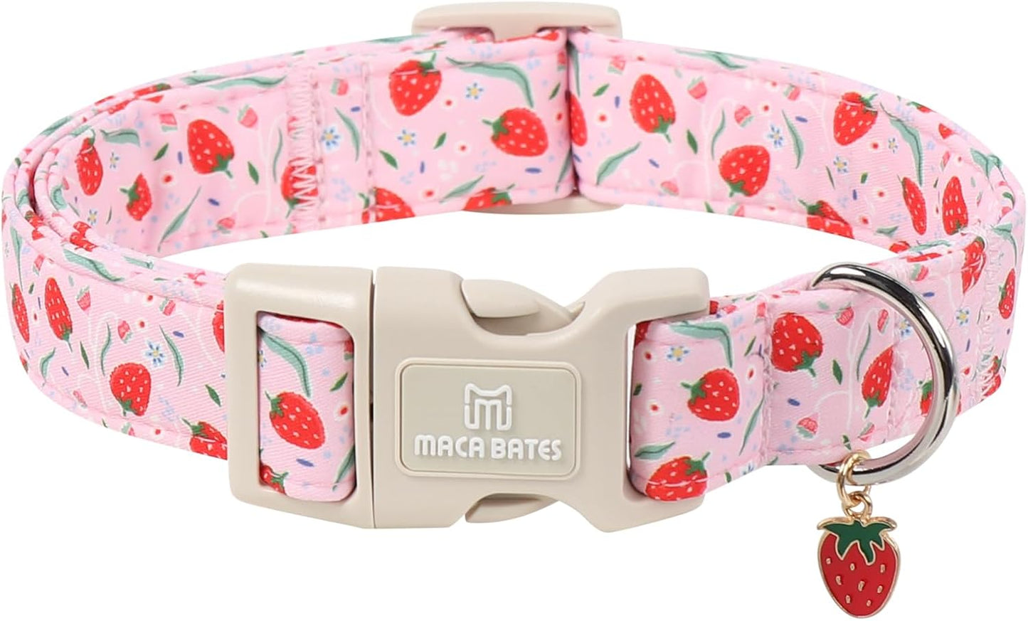 Dog wearing M Maca Bates collar outdoors for walk