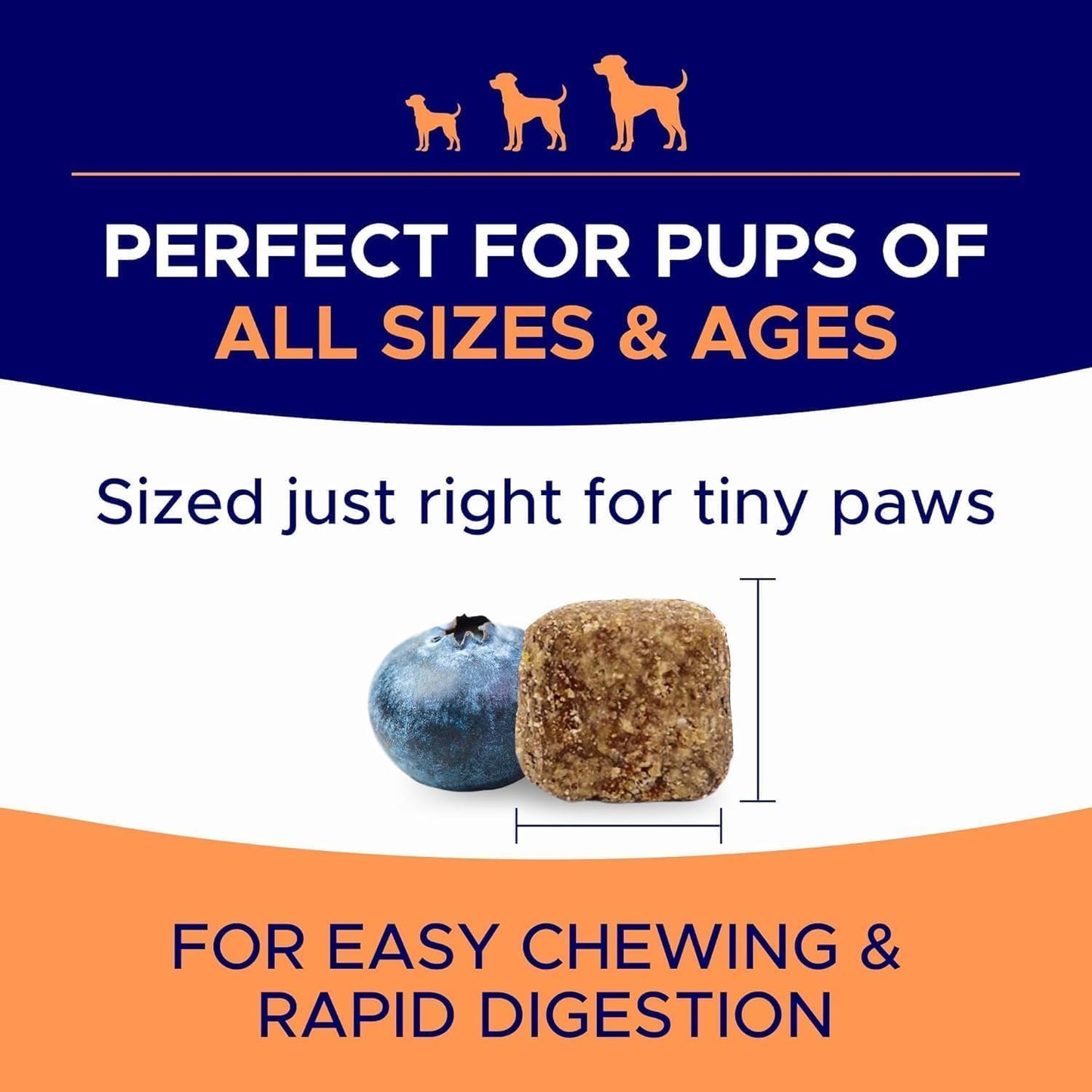 Goodgrowlies USA imported skin and coat supplement container back