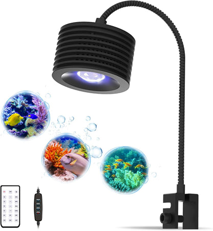 Freshwater aquarium illuminated by Asta 20