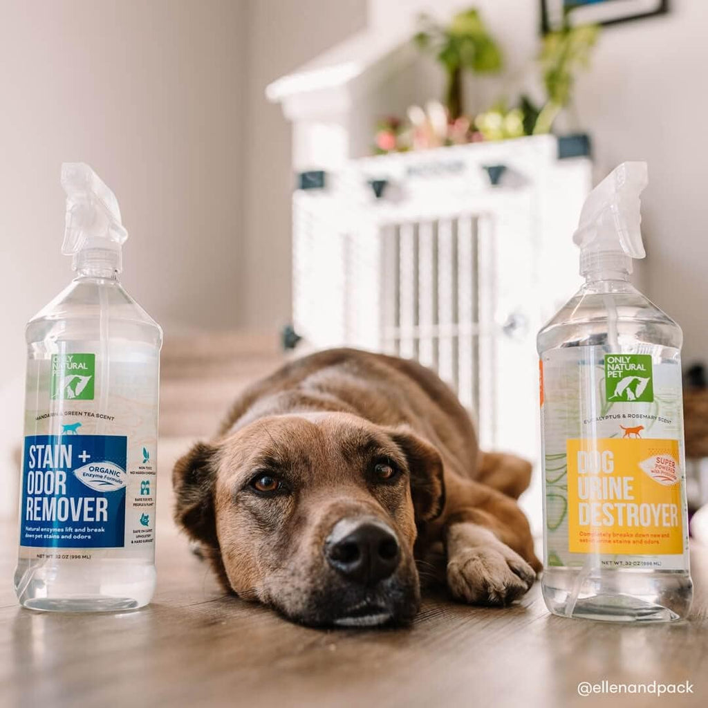 Only Natural Pet mandarin orange and green tea scent spray
