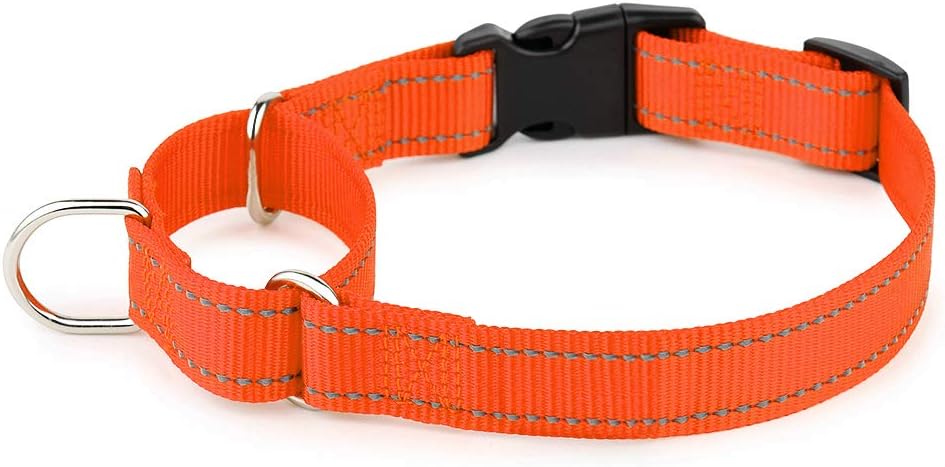 PLUTUS PET Reflective Martingale Collar with Quick Snap Buckle,No Pull Dog Choker Collar for Small Medium Large Dogs,M,Hot Pink - Image 13