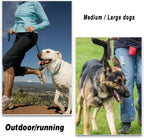LWBMG 6ft leather dog training lead displaying the solid brass 360 degree rotating hook.