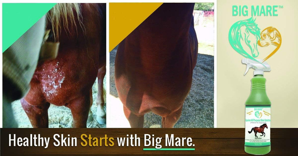 Authentic USA imported Big Mare equine skin solution packaging
