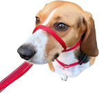 Premium USA imported dog training headcollar tan