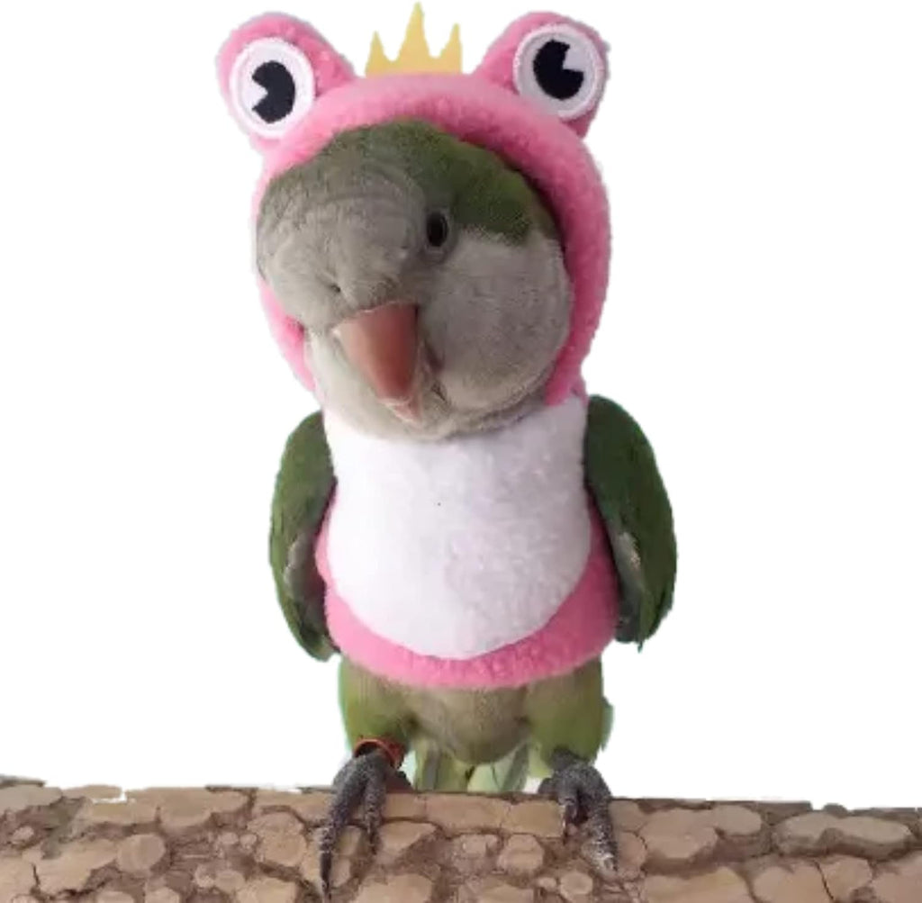 Bird Costume Diaper Flight Suit Bee Shape Clothes Cosplay Photo Prop for Parrots Lovebird Budgie Parakeet Cockatiel Sun Conure, Small Animals Apparel (Bee Without Diaper, Medium), Green (BPF1) - Image 11