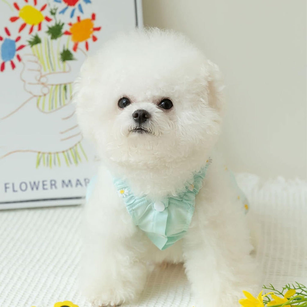 BIECWIAY premium imported summer pet clothes displayed showing texture and vibrant colors.