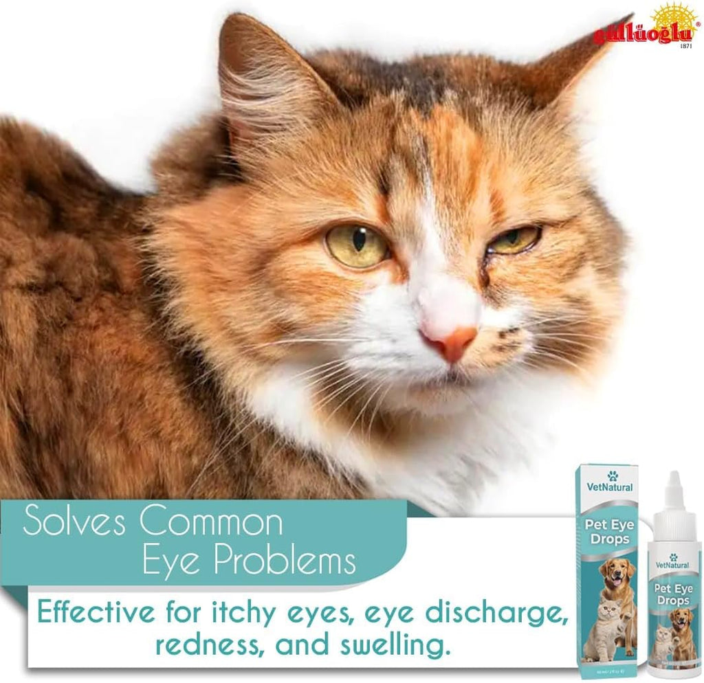 Premium imported pet eye care treatment dropper bottle packaging
