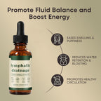 Lymphatic Drainage Drops, Bloat Relief & De-Puff, Immune & Lymph System Support Supplement, - Cleavers, Red Clover, Stillingia Root & Prickly Ash Bark, Fluid Retention, Vegan & Alcohol-Free, 2 Fl Oz - Image 2