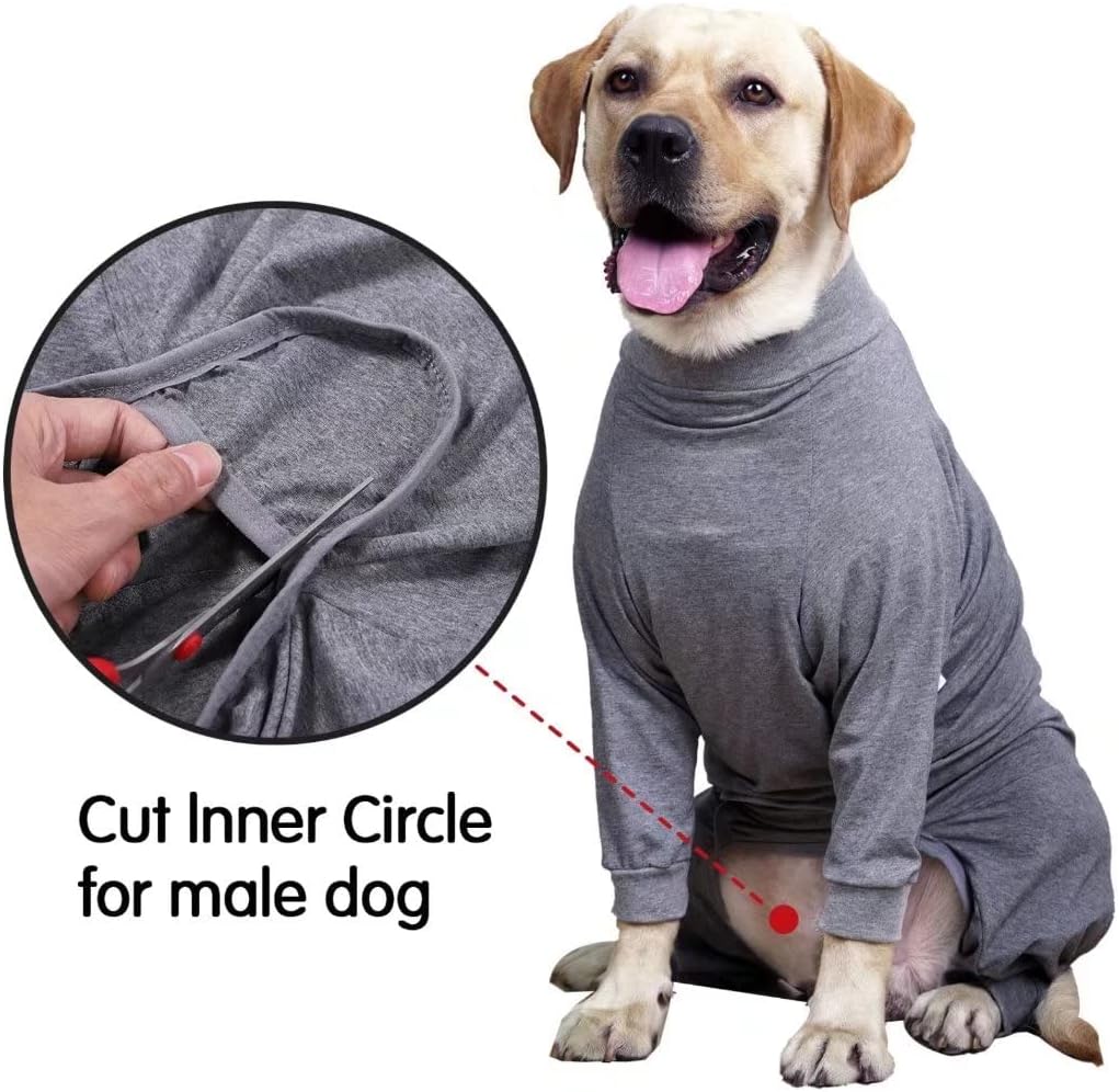 Xqpetlihai medium dog surgical shirt rear view demonstrating potty break modification