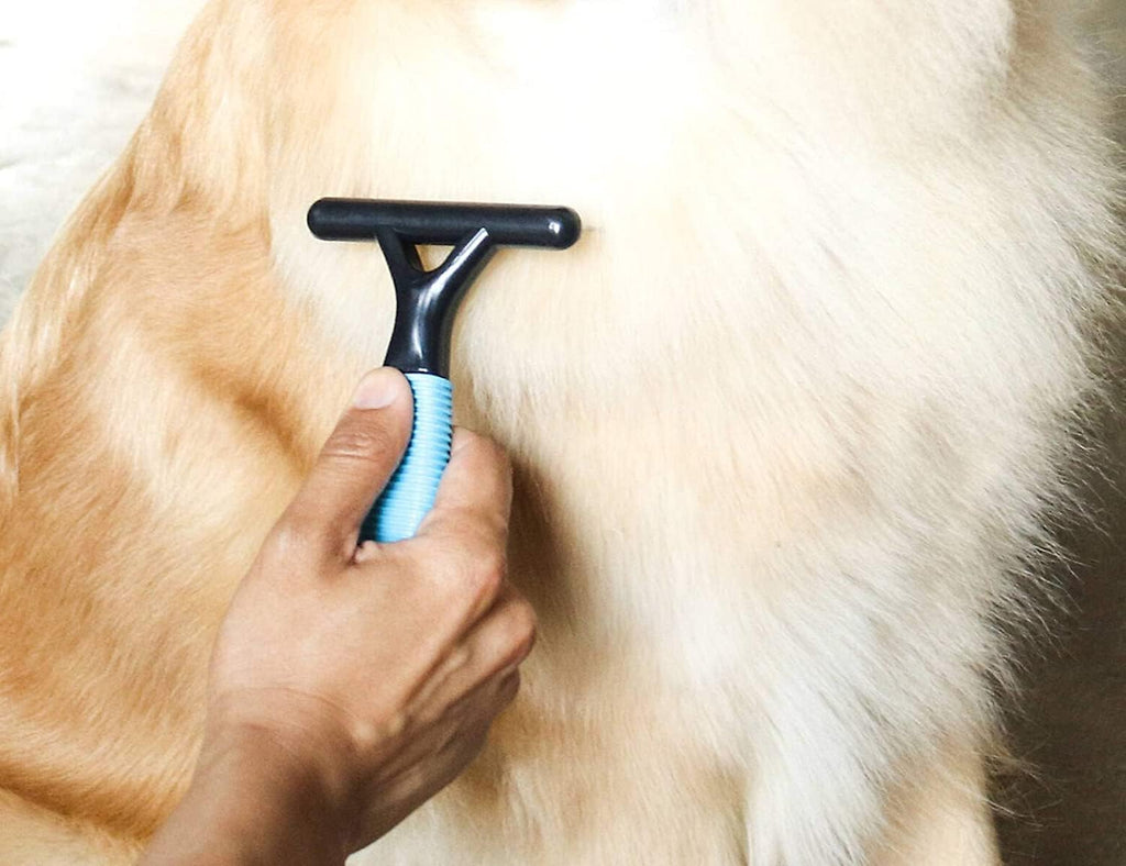Dskrui rake grooming a long haired dog breed