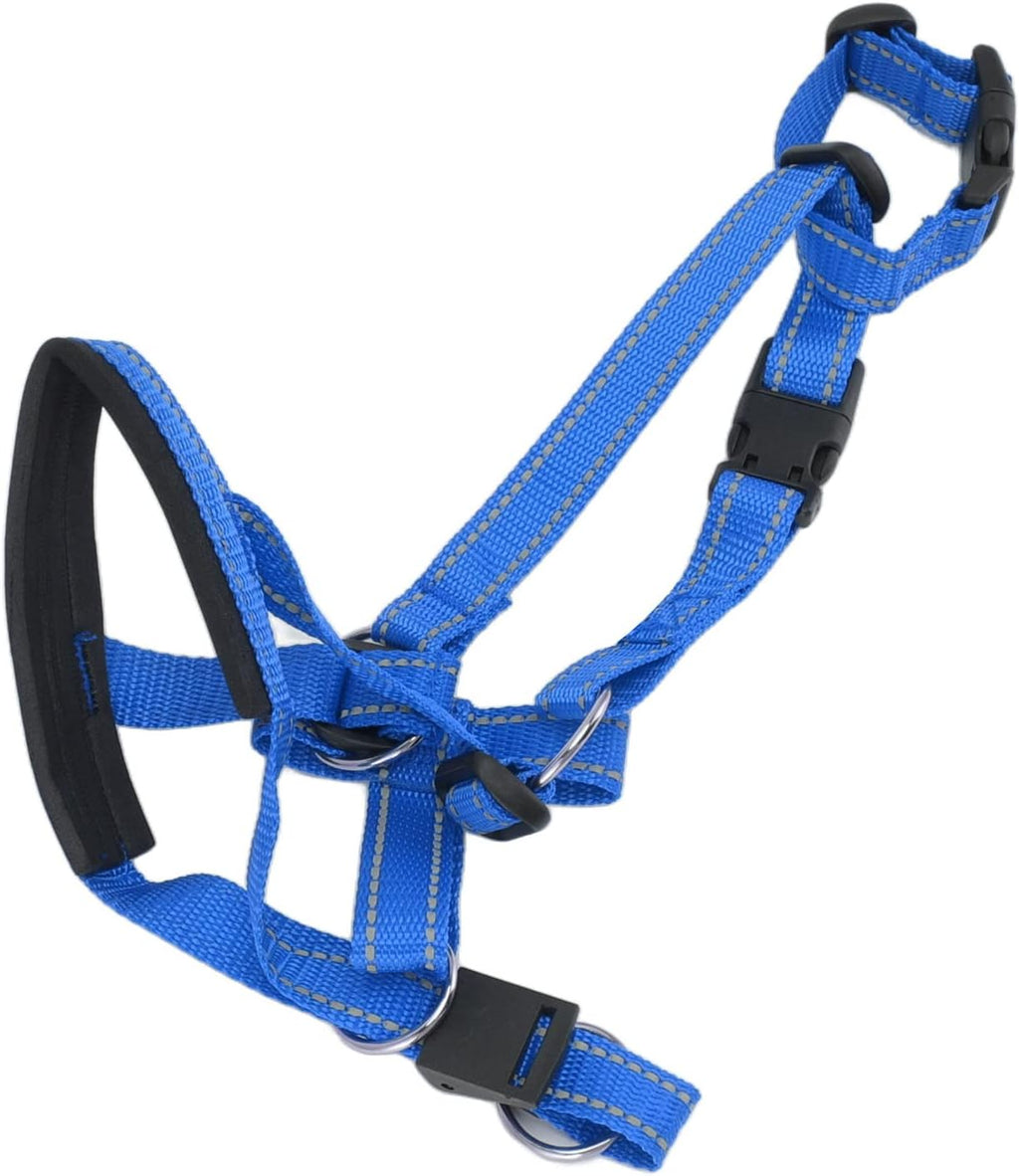 Gavigain imported dog head collar packaging showcasing size large specifications