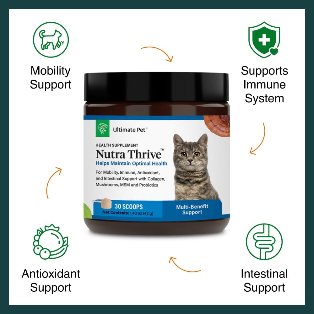 Nutra Thrive cat supplement powder scoop and jar