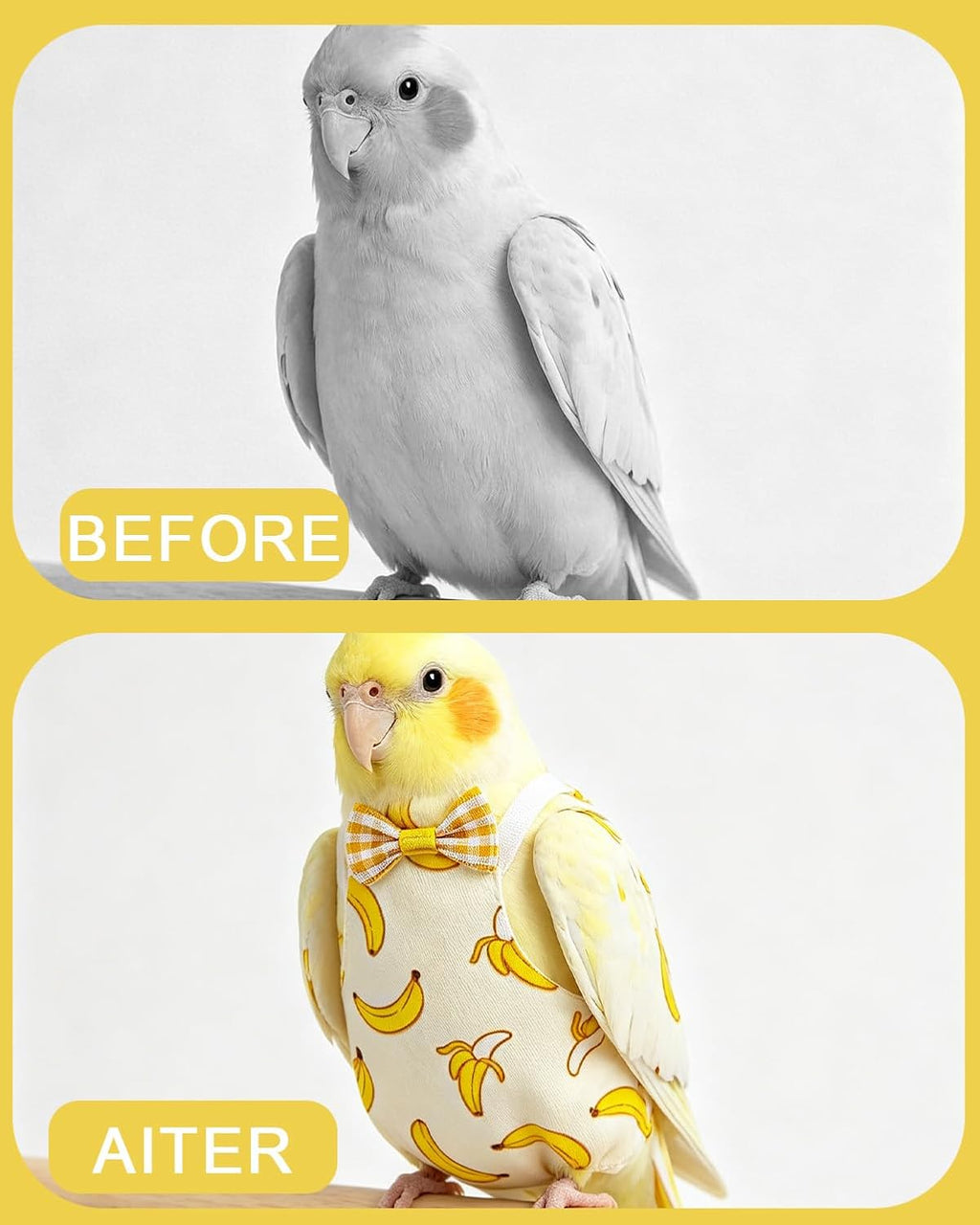 3Pack Bird Diaper, Reusable Parrot Nappy & 50 Absorbent Liners Bird Diapers - Image 7