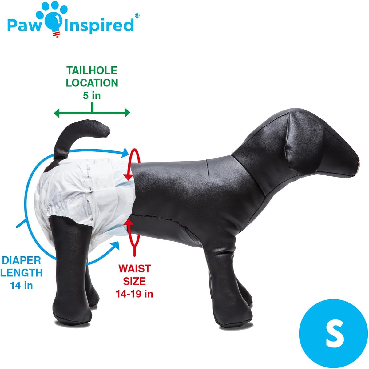DrySpeed technology absorption demonstration on leakproof pet diaper