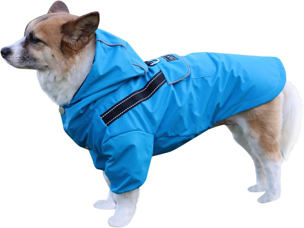 JoyDaog imported pet rain jacket for monsoon walks