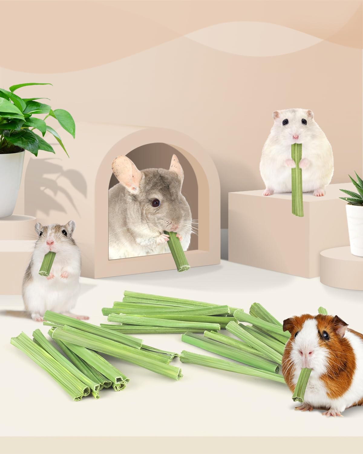 Sealed packaging of natural pet chew sticks showing product details