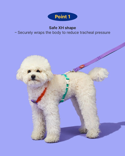 PETHROOM matching dog leash with sturdy metal clip hardware