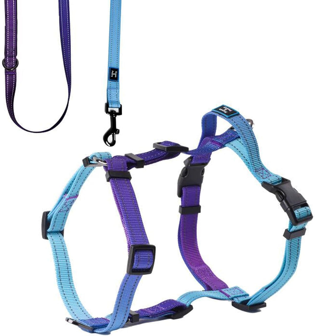 Roses&Poetry Dog Harness for Large Dogs, No-Pull Dog Harness and Leash Set Adjustable Reflective, Dog Vest Harnesses Comfort Padded Handle, Pet Harness for Training Outdoor WalkingMistyrose-L - Image 12