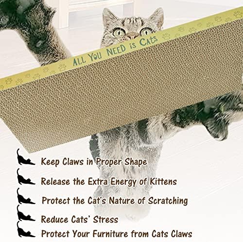 AccEncyc eco friendly corrugated paper board scratch pad setup in living room