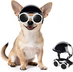 Full 2-piece Petleso pet protective gear set