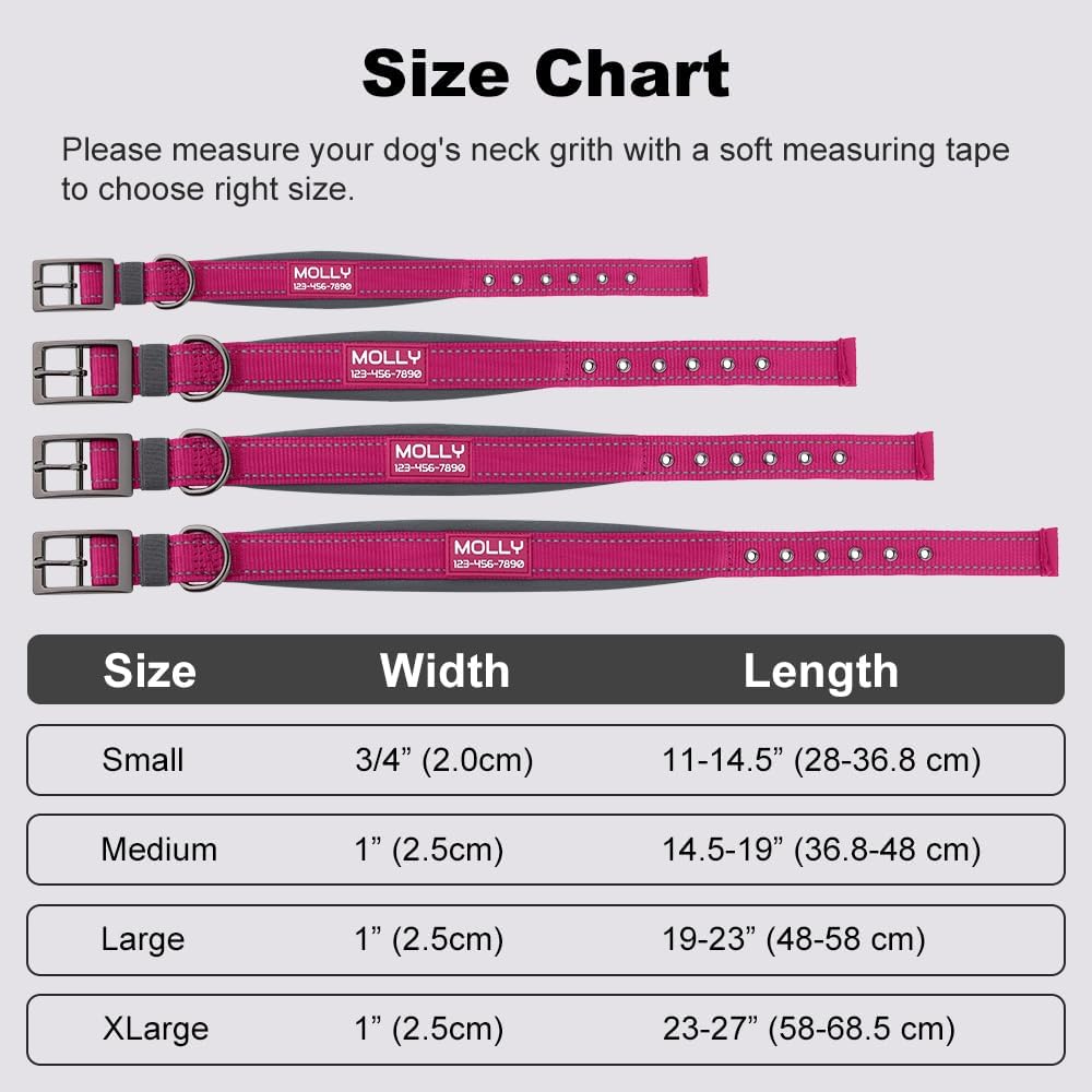 Plutus Pet heavy duty dog collar size adjustment view