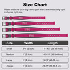 Plutus Pet heavy duty dog collar size adjustment view