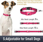 Safety double-action locking buckle on Erbine pet collar