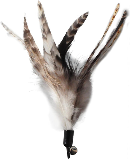 Safe eco friendly pet play accessories imported for Indian cat owners.
