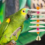 DQITJ natural calcium cuddle bone hanging in bird cage