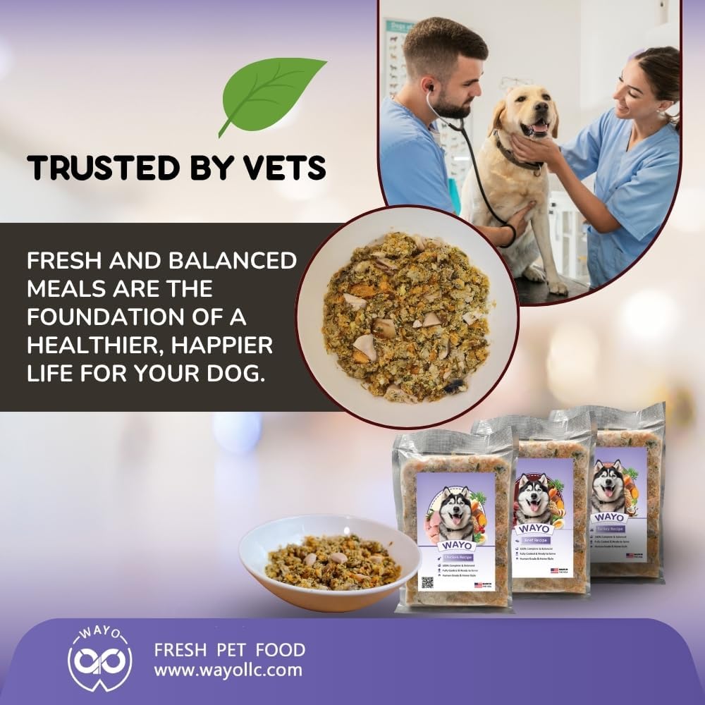 Fresh human-grade WaYo dog food serving suggestion