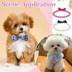 Premium PAIDEFUL decorative kitten and puppy costume jewelry set with secure adjustable closures