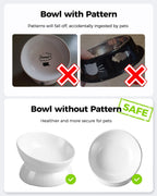 LoeJan tilted cat water bowl side profile