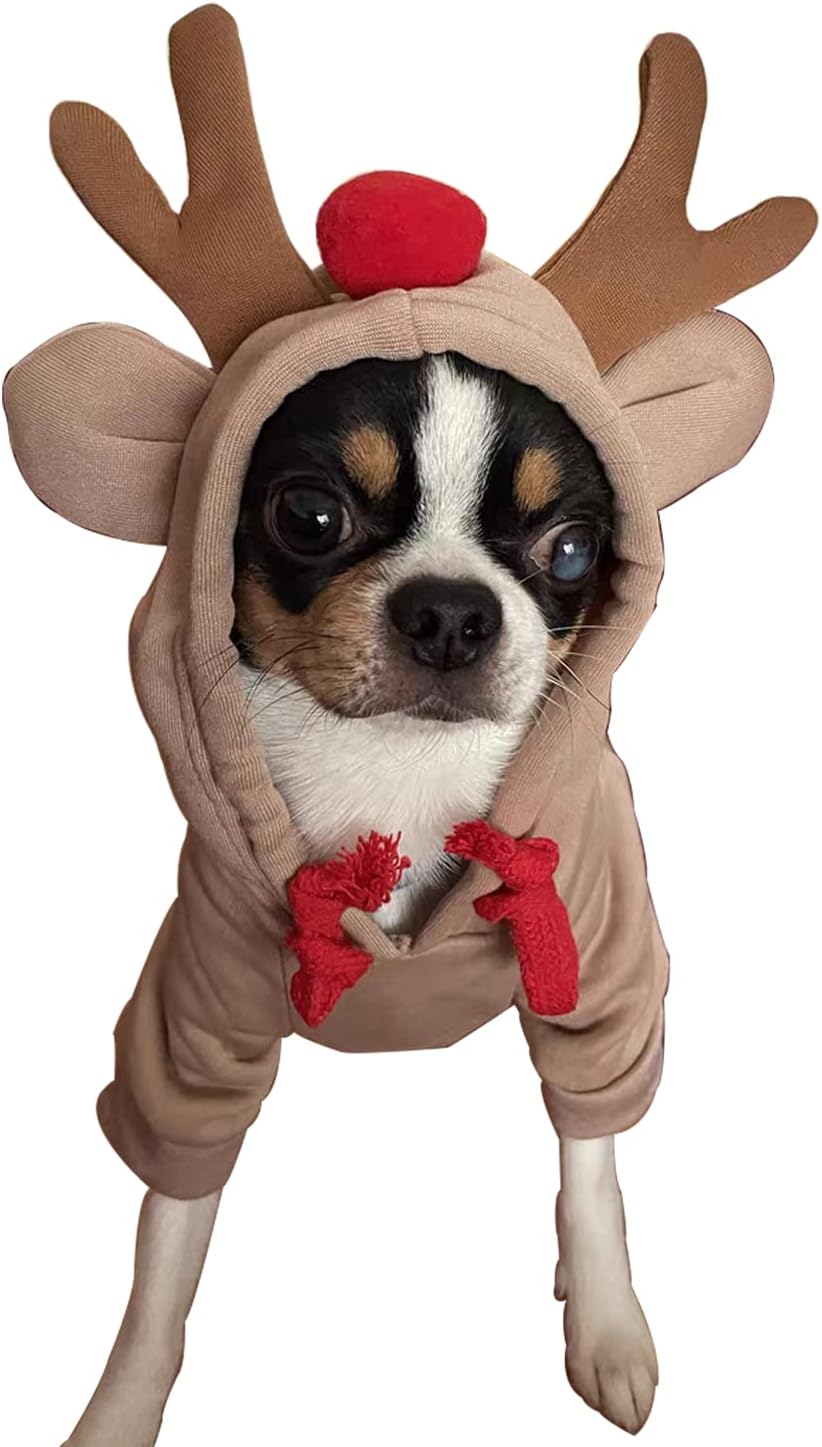 Material texture of velvet lined frog pet apparel