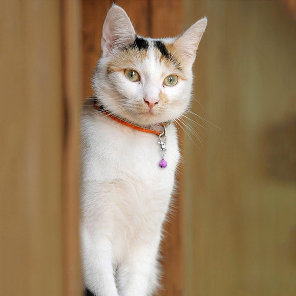 Wontee cat collar bells showing lobster clasp design