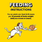 Temptations premium imported healthy cat treats on white background