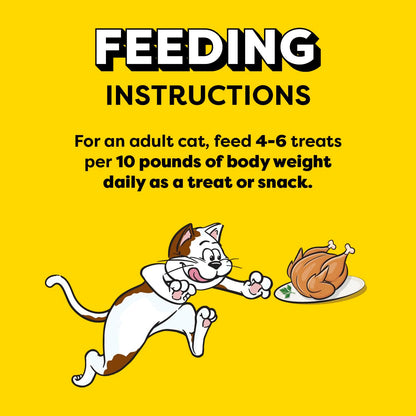 Temptations premium imported healthy cat treats on white background