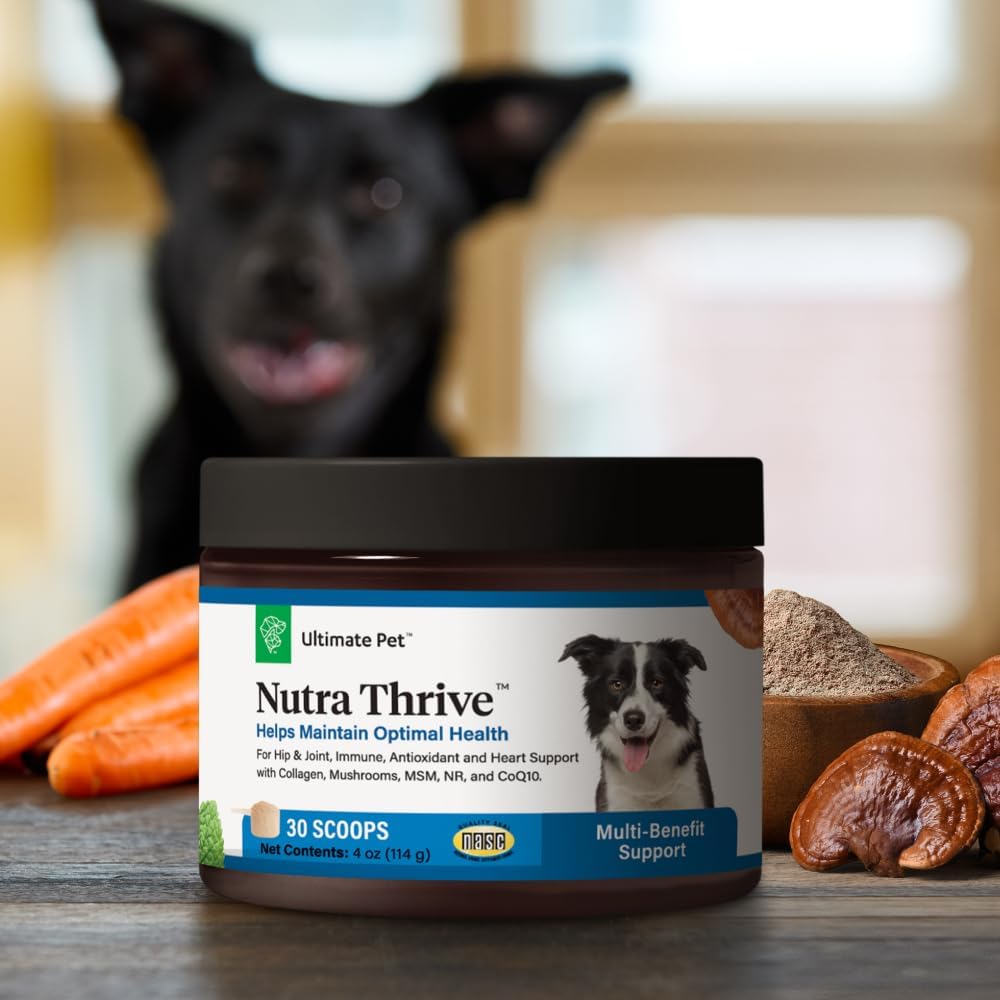 Ultimate Pet Nutrition Nutra Thrive Canine, 40-in-1 Nutritional Powder Supplement for Dogs with Digestion and Immune Support, Vitamins, Minerals, Probiotics, Enzymes, 30 Scoops - Image 9