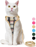 Comfortable anti choke pet harness on a small dog during outdoor walk