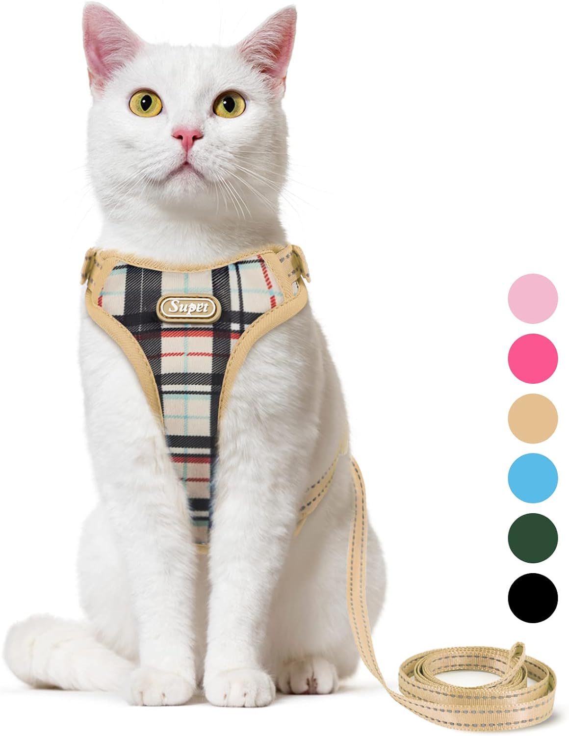 Comfortable anti choke pet harness on a small dog during outdoor walk