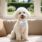 Bite resistant lightweight pet flower collar charms for grooming photography props