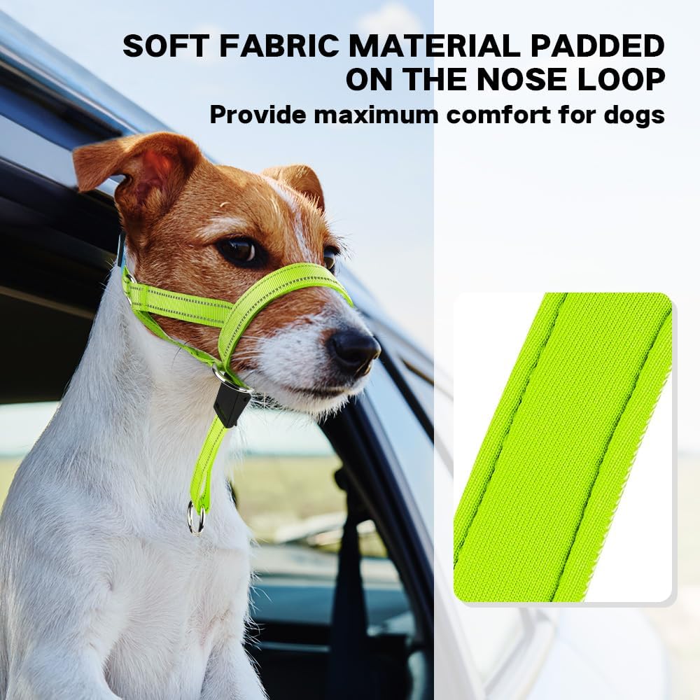Domiglow anti pull head halter showing reflective strips for night walks