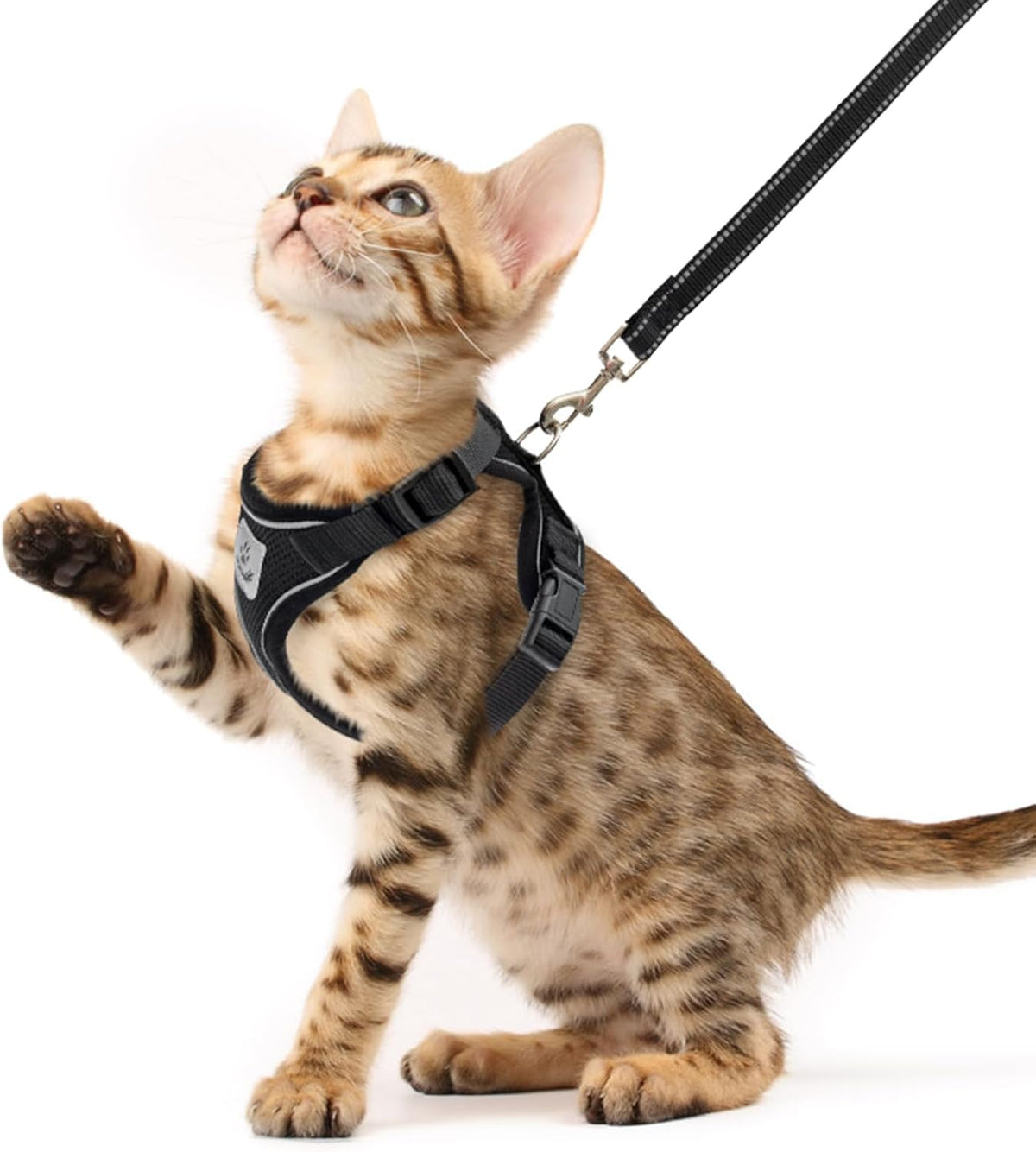 PUPTECK Cat Harness and Leash Set Escape Proof Reflective Cat Walking Harness Adjustable Soft Breathable Mesh Vest for Small Pets, Aquamarine, S - Image 13