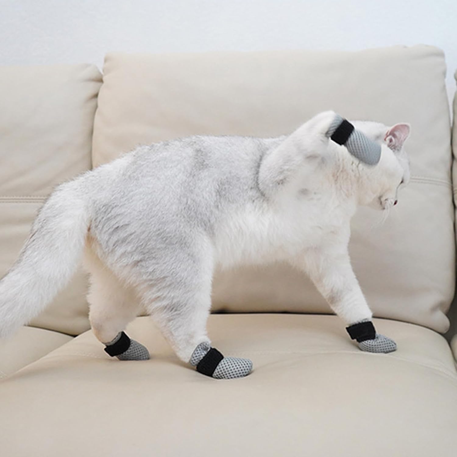 Medium size black dog and cat foot covers for safe grooming.